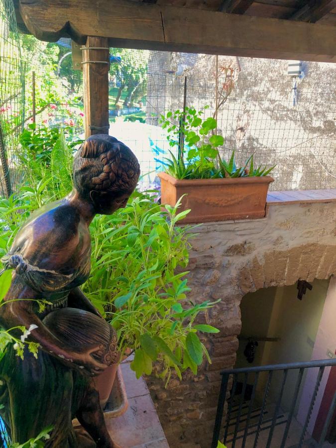 B&B La Fontana Di Pegaso Tivoli Buitenkant foto